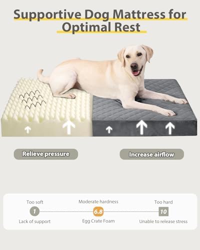 NUPIDA Orthopedic Large Dog Bed for Crate with Washable Cover, 35x22