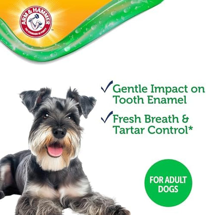 Arm & Hammer Complete Care Dental Gel Dog Toothpaste, Chicken, 2.5 Oz
