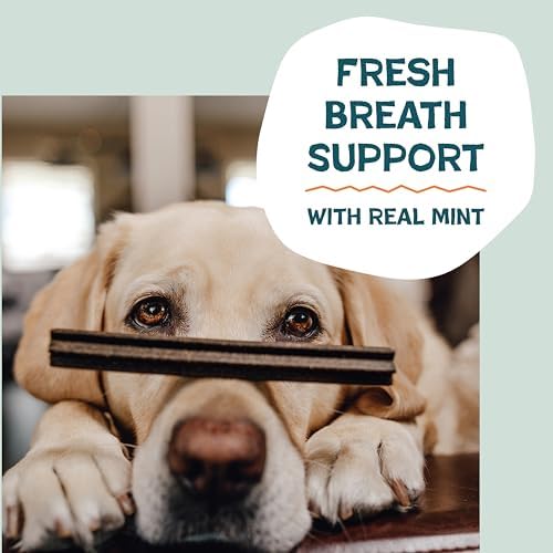 Shameless Pets Dental Treats for Dogs, Carrate Chomp - Healthy Dental Sticks with Skin & Coat Support for Teeth Cleaning & Fresh Breath - Dog Bones Chews Free from Grain, Corn & Soy