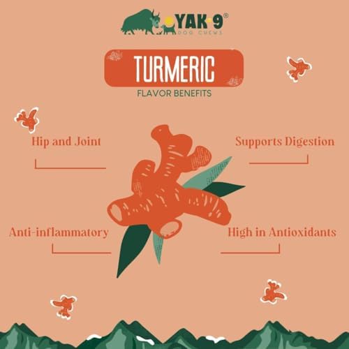 Yak Cheese Dog Chews with Turmeric for Hip & Joint Support | High Protein, Non Rawhide Dog Chews Long Lasting | Non GMO, Gluten Free, Grain Free | Medium (Breeds 15-30 lbs), 2 PC
