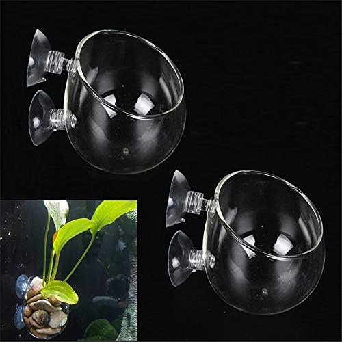 Aquatic Plant Holders Bonsai Pots Clear Aquarium Tanks Bare-Bottom Tanks Shrimp Glass Pots Fish Tanks with 2 Suckers for Home Fish Aquarium Furniture Decor 2 Pcs