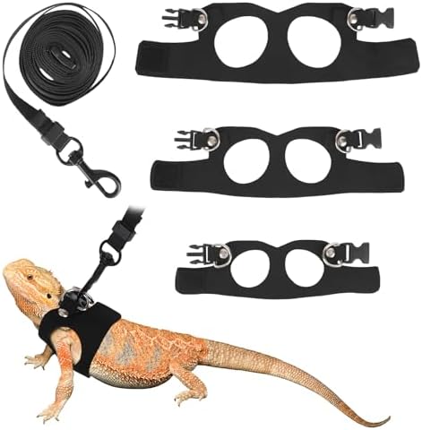 Bearded Dragon Leash and Harness Set