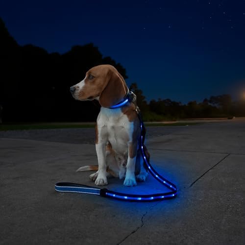 Sherry Kline LED Light-Up Pet Collar - USB Rechargeable - Flashing Glow in The Dark Size Large, Color: Blue