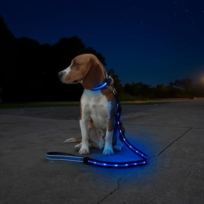 Sherry Kline LED Light-Up Pet Collar - USB Rechargeable - Flashing Glow in The Dark Size Large, Color: Blue