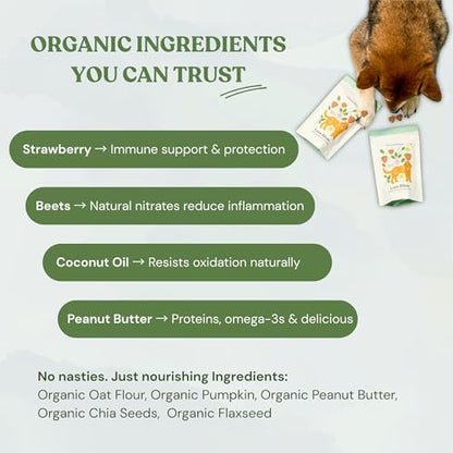 Love Bites Healthy Natural Dog Treats, Oven Baked Dog Cookies with Peanut Butter, Strawberry & Beet, Grain Free Limited Ingredient Snacks for Dogs, 2 Pack