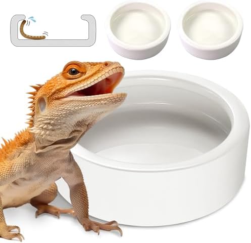 Worm Dish Large 2Pcs Reptile Food Water Bowl Lizard Gecko Ceramic Pet Bowls