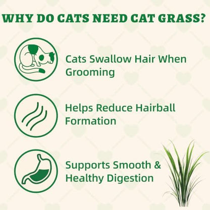 Wellix Cat Grass Treats with Catnip & Salmon, Cat Hairball Treats, 3.2 oz