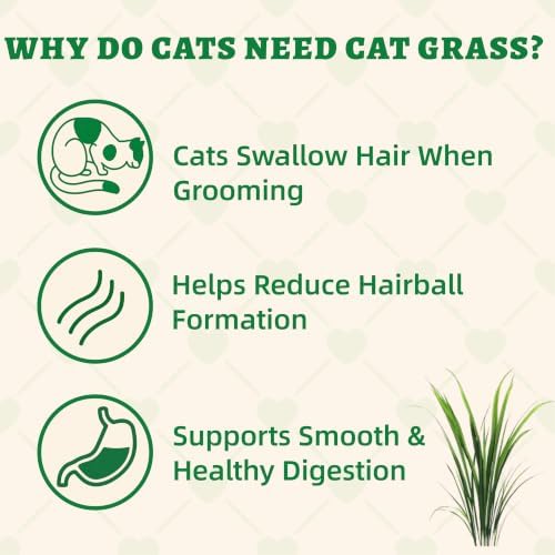 Wellix Cat Grass Treats with Catnip & Salmon, Cat Hairball Treats, 3.2 oz