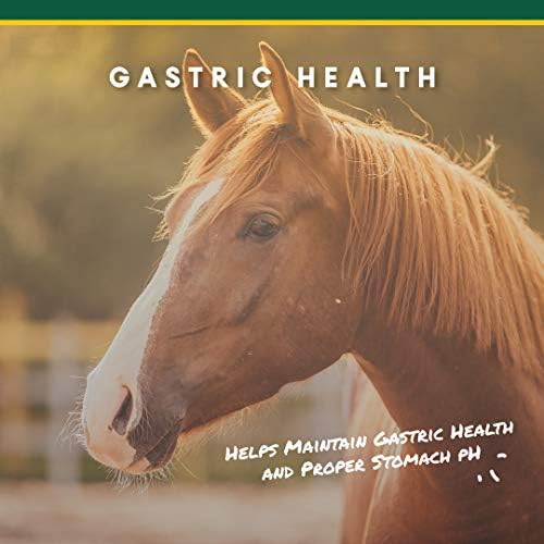 Corta-Flx U-Gard Pellets for Horses, Digestive Supplement, 10 lb Bucket