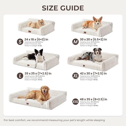 Orthopedic Dog Bed Medium 30x20x8.5” Washable Cover Cream