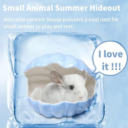 Small Animal Hideout Extra Large Ceramic Shell Shape Guinea Pig House Chinchilla Igloo Habitat Hut Cave Summer Bed Cage Accessories for Hedgehog Rabbit Hamster Gerbil Rat (XL (9.5''x7''x7.9''), Blue)