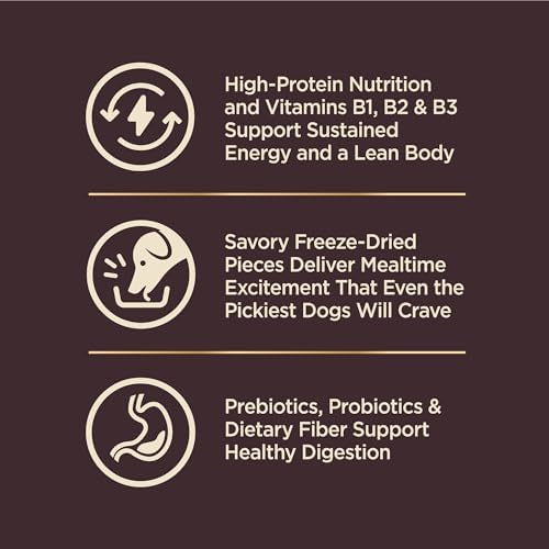 Wellness CORE RawRev Grain-Free Dry Dog Food, Natural Ingredients, Made in USA with Real Freeze-Dried Meat (Adult, Turkey, 4 lbs) (Pack of 2)