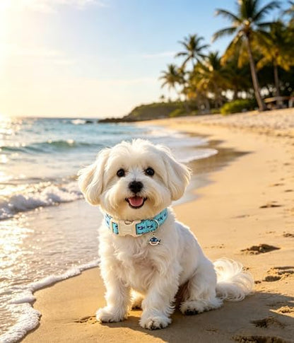 Lionet Paws Blue Dog Collar Summer Ocean Collars with Cute Sharks Pattern Pendant - Female Male Boy Dog Collar for Medium Large Dogs L