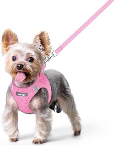 rabbitgoo Dog Harness Small Sized and Leash Set, Step-in Puppy Pet Vest
