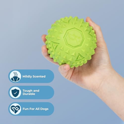 Best Pet Supplies Squeaky Dog Toys with Soft Durable Fabric for Small, Medium and Large Pets Interactive Toy for Indoor Play, Supports Active Biting and Play - Fuchsia, Green, Large