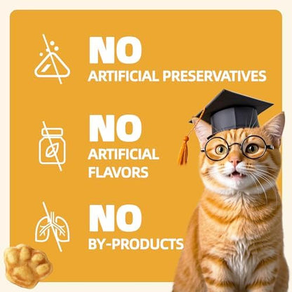 Wellix 13.05 oz Cat Treats with Salmon Oil & Omega-3, Skin and Coat Support