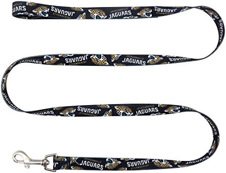 Littlearth NFL Unisex NFL Pet Leash