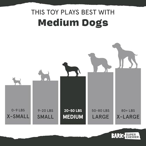 BarkBox Treat Meat Hot Dog Dog Toy - Toy for Medium Dogs
