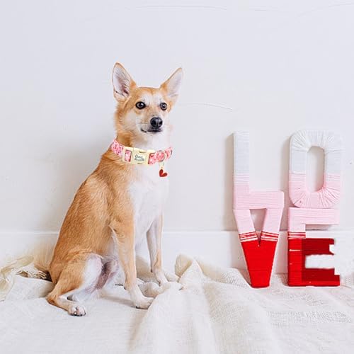 Valentine's Pink Line Love-Heart Dog Collar for Small Dogs