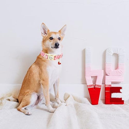 Valentine's Pink Line Love-Heart Dog Collar for Small Dogs