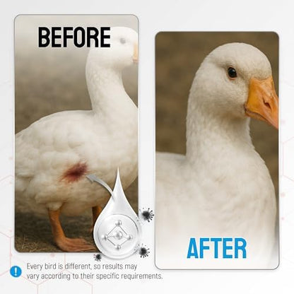 SILVER GRADE Wound Spray for Chicken – Birds & Chicken Antibiotics Alternative to Help with Pecking Sores, Bumblefoot, Cuts – Poultry Spray with Silver – GMOs Free – 4-Oz Bottle
