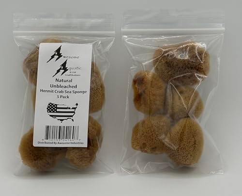 5 Unbleached Natural Hermit Crab Sea Sponges Water Dish Humidity Habitat