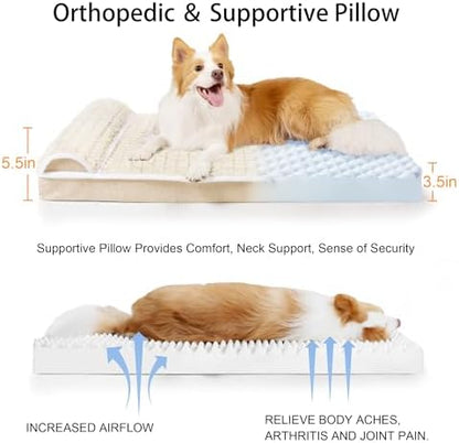Orthopedic Medium Dog Bed Pillow Pet Sofa Bed 30''X20'' Ivory