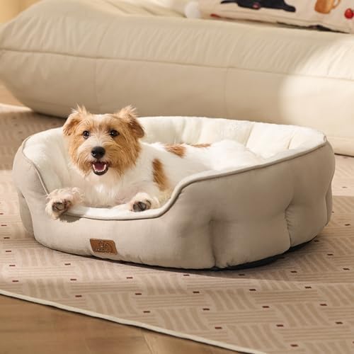 Bedsure Medium Dog Bed Washable,Large Cat Beds for Indoor Cats,28in Camel