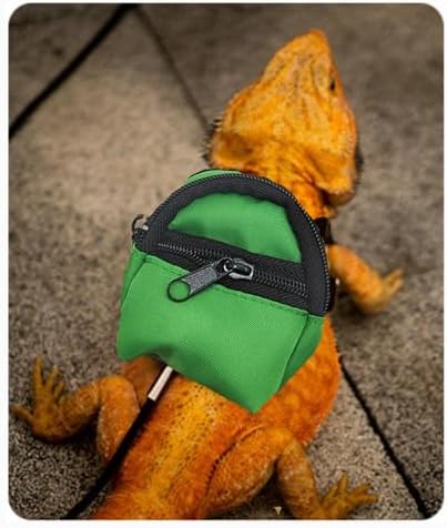 Crested Geckos Backpack Carrier,Reptile Portable Backpack Carrier with Small Backpack Harness Leash Set,Space Capsule Clear Bubble Window Travel Backpack for Lizard Travel,Guinea Pig,Bearded Dragon