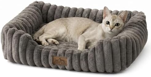 COZY KISS Orthopedic Pet Bed for Small Cats - Washable Rectangle Pet Bed with Anti-Slip Bottom, Soft Calming Cat & Puppy Bed for Indoor Pets (20"x18"x6", Grey)