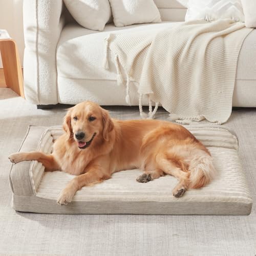 WINDRACING Orthopedic Dog Beds for Medium Dogs, Waterproof Egg Foam Dog Sofa Bed with L Bolster Sides, Washable Medium Pet Bed with Removable Cover & Non-Slip Bottom, 36 x 23 inch, Beige