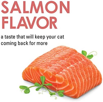 Fancy Feast Purina Limited Ingredient Cat Treats, Savory Cravings Salmon Flavor - 3 oz. Box (Pack of 2)