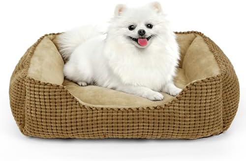 MIXJOY Dog Beds for Medium Dogs Washable, Rectangle Pet Bed Medium Size Dog, Orthopedic Sleeping Pet Sofa Bed, Soft Calming Cat Beds for Indoor Cats, Anti-Slip Bottom with Multiple Size