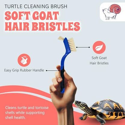 Turtle Cleaning Brush - Gently Remove Dirt from Turtles and Tortoises - Blue by Snout and Shell