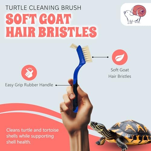 Turtle Cleaning Brush - Gently Remove Dirt from Turtles and Tortoises - Blue by Snout and Shell