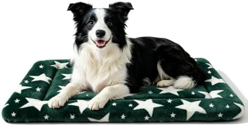 Dog Bed Mat, Reversible Crate Pad & Cute Dog Bed - Machine Washable Kennel Mat with Ultra Soft (Big&Small Stars Green, 30" L*20" W*1.5" Th)