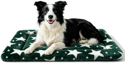 Dog Bed Mat, Reversible Crate Pad & Cute Dog Bed - Machine Washable Kennel Mat with Ultra Soft (Big&Small Stars Green, 30" L*20" W*1.5" Th)