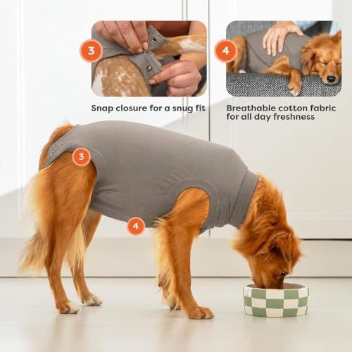 Suitical - The Original Dog Surgery Recovery Suit - Replace E-Collar & Cone - Spay, Neuter, Wounds, Prevent Licking - Small+ Neck to Tail 19.3-22.4in - Chest 25-35.5in - Weight 33-42lbs Sandstone Grey