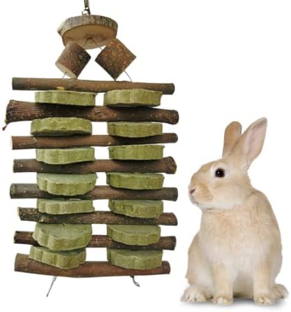 Hamiledyi Bunny Chew Toys for Teeth Organic Fruitwood Sticks