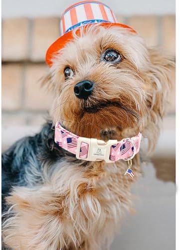 Lionheart glory American Flag Dog Collar, 4 of July Patriotic Independence Dog Collar Heavy Duty Adjustable Collars for Small Dogs Pet Gift Summer Collars