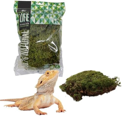 Mood Moss for Terrarium Habitats, Small 1-Pack