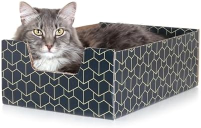 Brightspot Purrfect Cat Box in Blue