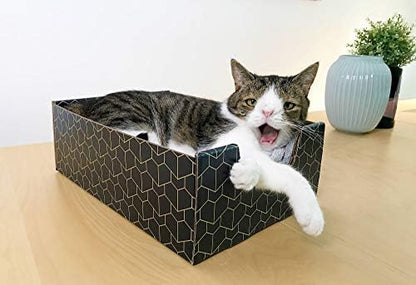 Brightspot Purrfect Cat Box in Blue