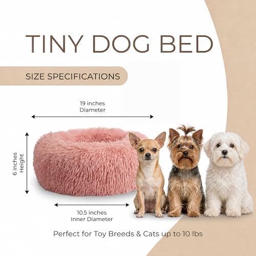 Calming Donut Small Dog Bed for Chihuahua Yorkie Maltese Shih Tzu