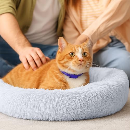 2-Pack Small Calming Dog & Cat Bed Anti Anxiety Fluffy Plush Pet Beds with Anti-Slip Bottom Machine Washable Interchangeable Pet Bed for Kittens & Puppies(Cream and Light Gray,21x16.5 Inch)