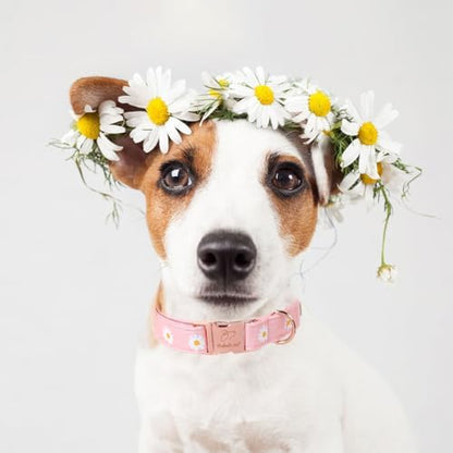 Spring Dog Collar, Cute Pink Daisy Femal Pet Collar with Metal Buckle, Durable Adjustable Designer Dog Collars for Small Medium Large Dogs L