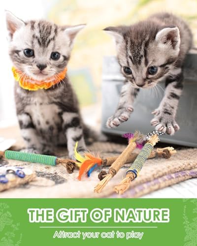 TINDTOP Catnip Chew Toys for Cats, 4 Pack Natural Silvervine Sticks for Kittens Teeth Cleaning, Matatabi Dental Care, Increase Appetite, Aggressive Chewers Cat Dental Toy