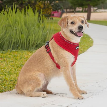 Best Pet Supplies Voyager Aerolite Over the Head Dog Harness, No Pull Breathable Air Mesh Vest, Quick Dry with Reflective Stitching, Adjustable Escape Resistant Harness - Red, Medium