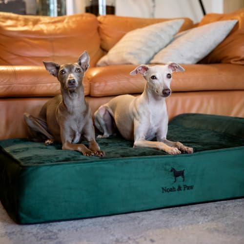 NOAH & PAW Large Dog Bed, 35x25x8.7 Inch, Orthopedic Dog Beds, Eggshell Memory Foam Infused with Cooling Gel, Water Resistant, Machine Washable, Includes Inner Cover (Velvet Collection)