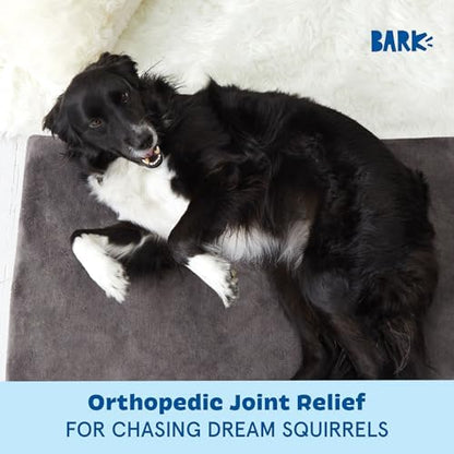 BarkBox Orthopedic Dog Bed - Large